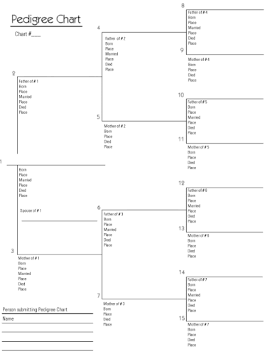 Lds Pedigree Chart Printable - Lds Pedigree Chart Printable How To ...